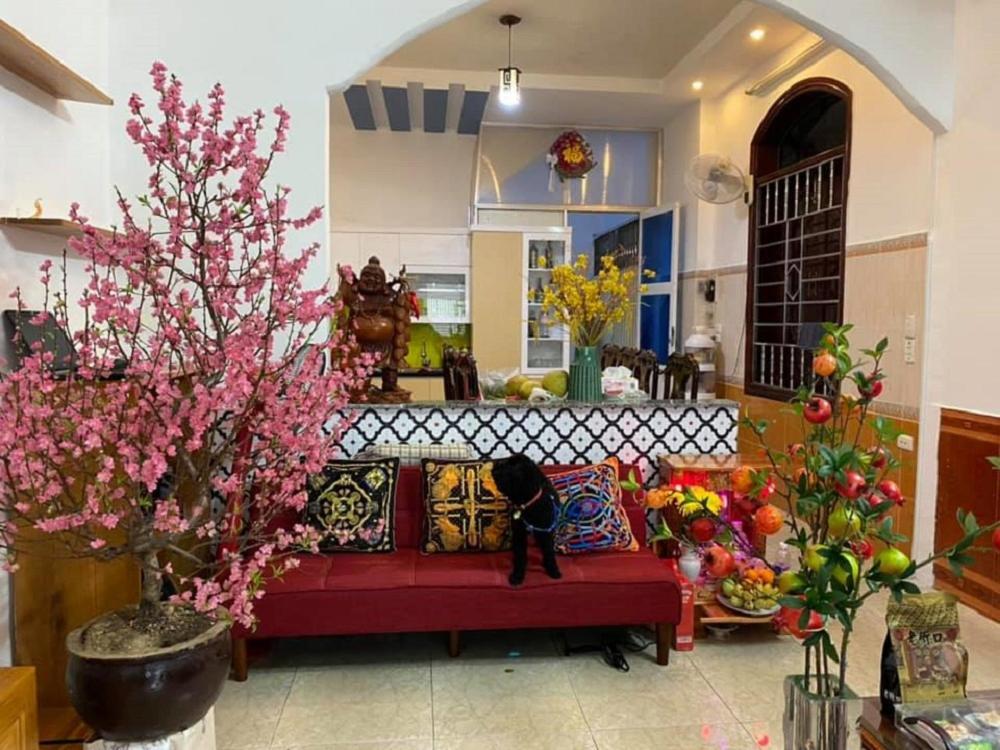 Duc Long Homestay Вунгтау Экстерьер фото